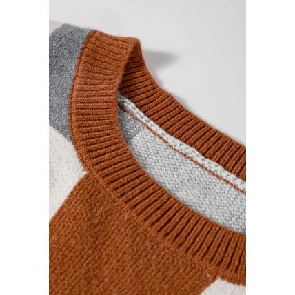 Brown Plus Size Checkered Crewneck Sweater