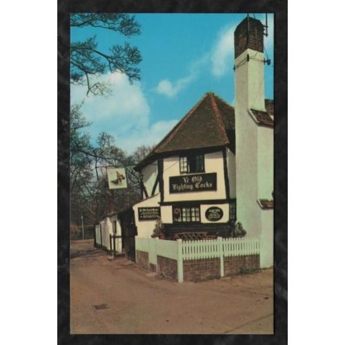 Ye Old Fighting Cocks Inn, St Albans Hertfordshire, colour postcard