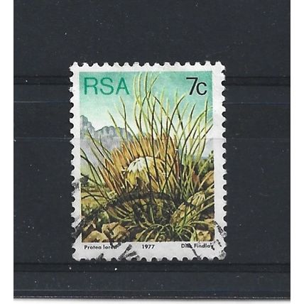 SouthAfrica.SG420 7c Protea Lorea.Fine Used.Sep25i