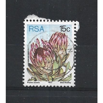 SouthAfrica.SG424 15c Protea Eximia.Fine Used.Sep25j