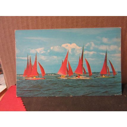 REDWINGS, YACHTS, SAILING .unused vintage postcard =