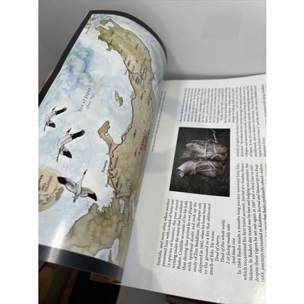 National Geographic Magazine February 2008 The Black Pharaohs Collectable