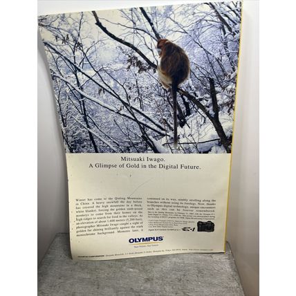National Geographic Magazine November 2004 Was Darwin Wrong Vintage Collectible