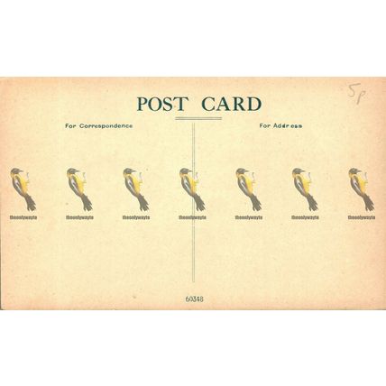 Pen-Y-Careg, Rhayader, Wales, Rare 60348 Postcard