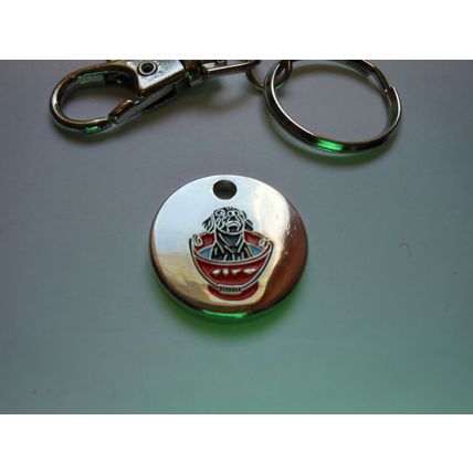 Trolley Coin Keyring Reusable One Pound Shopping Token Shape £1.00 coin