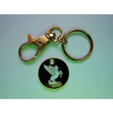 Trolley Coin Keyring Reusable One Pound Shopping Token Shape £1.00 coin