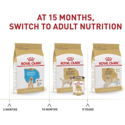 Royal Canin Labrador Retriever Adult Dry Dog Food, 30 Lb Bag