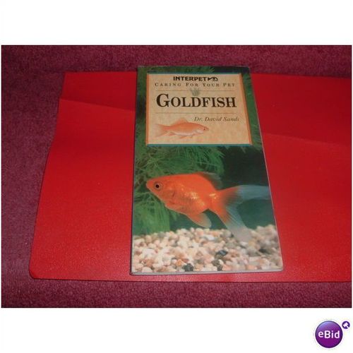 GOLDFISH (29/01)