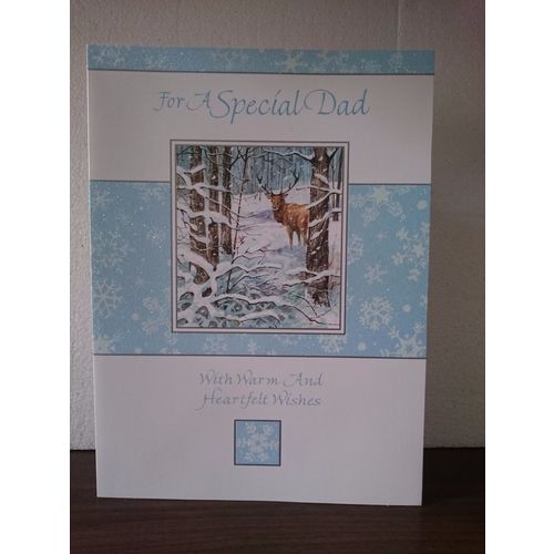 Large Christmas Cards - Special Dad (Glitter Card) 06 - **** CLEARANCE ****