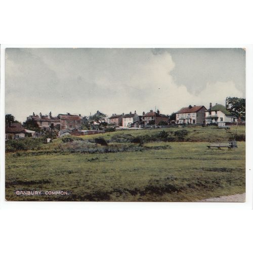 Danbury Common Essex Postcard 11515
