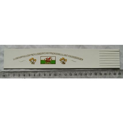 Vintage: white leather bookmark Llanfairpwllgwyngyllgogerychwyrndrobwlll  lantys