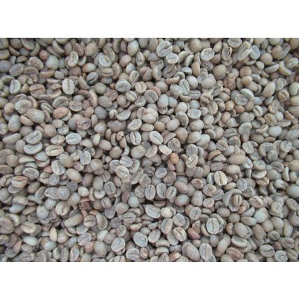 5 LB Green Unroasted Coffee Beans Costa Rica Fuego Anaerobic SHB EP Fcy MICROLOT