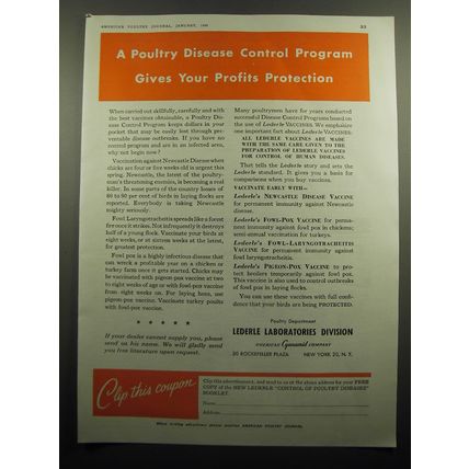 1949 Lederle Laboratories Ad - A poultry disease control program
