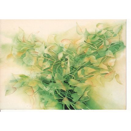 Unused Art Postcard - "Murgrona" - Barbara Costello