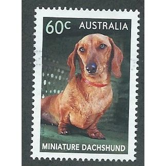 AUS 2013 60c 'TOP DOGS - DACHSHUND' FINE USED (EBID38-319)