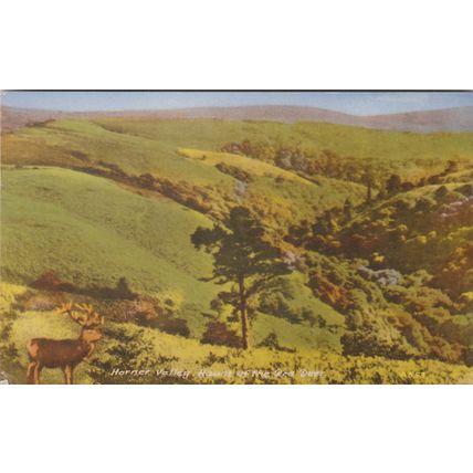 Horner Valley, Haunt of Red Deer Somerset Postcard (Sm78018)