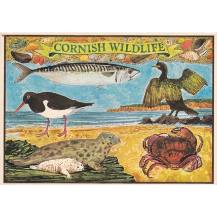 Cornish Wildlfe Uknown Artist Postcard unused pinhole