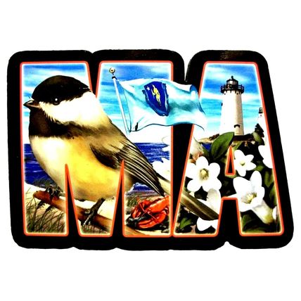 Massachusetts The Bay State Artwood Initial Fridge Magnet