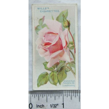 1912 Wills Roses No. 48 Grand Duc Adolphe de Luxembourg