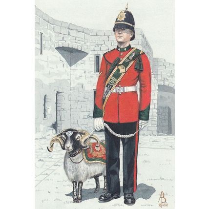 Ram Major & Goat Mascot Worcester Sherwood Foresters Regiment Postcard