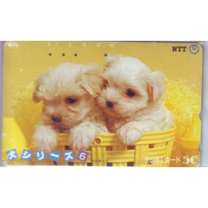 Puppies Japan NTT Phone Card