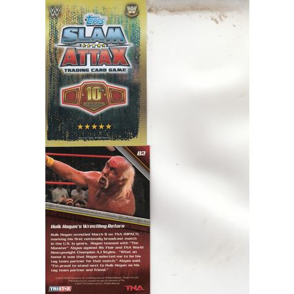 THE ROCK & HULK HOGAN AUTOGRAPHED 2017/10 WWE HALL OF FAME WRESTLING CHAMPIONS