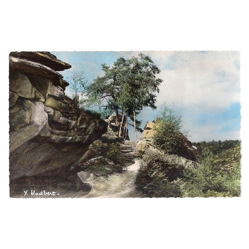 FONTAINEBLEAU, FRANCE unused vintage postcard #