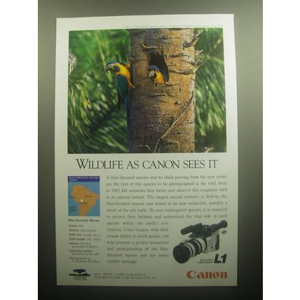 1993 Canon L1 8mm Video Camcorder Advertisement - Blue-throated Macaw