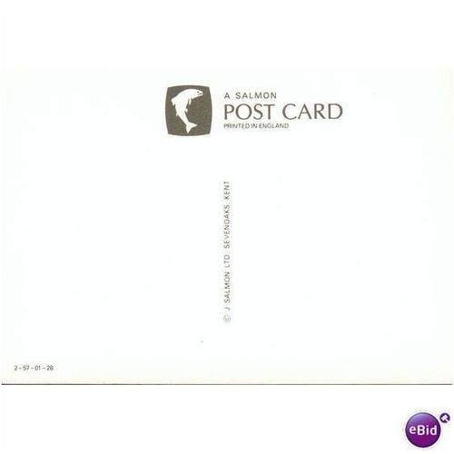 GB Postcard - The New Forest, Hampshire By Night!
