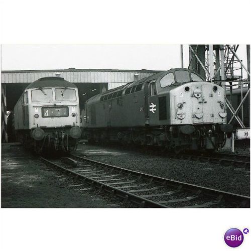 Railway Photo BR Class 40 243 BESCOT SHED Diesel Loco MPD Depot