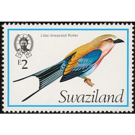 Swaziland QEII 1976 E2 Lilac Breast Roller Mounted Mint MM SG 250 Birds stamp