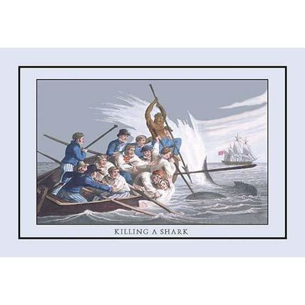 Killing a Shark 12 x 18 Poster