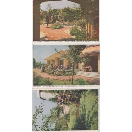 The Derry Gardens Kensington 100 Feet In The Air 3x Old Postcard s