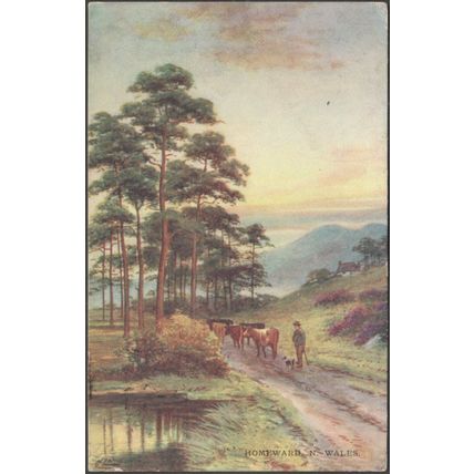 Homeward, North Wales, 1905 - CW Faulkner Postcard