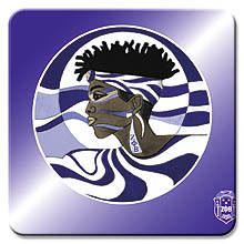 Zeta Profile Magnet