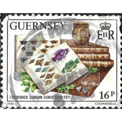 GUERNSEY, Natural History Books, reconstructed Pot, white 1988, 16p