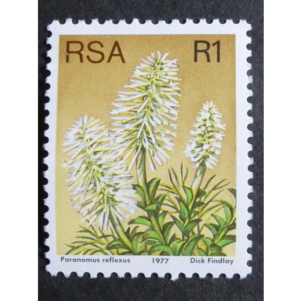 SOUTH AFRICA 1977 Succulents 1r SG429a Unmounted Mint