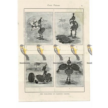 Fickleness of Fashions Fancies, Victorian Cartoon, Book Illustration, 1895