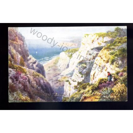 iw201 - Isle of Wight - Blackgang Chine - Artist H.B. Wimbush - Tuck's postcard