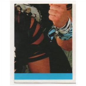 Merlin WWF 1990 World Wrestling Federation sticker # 91 The Rockers