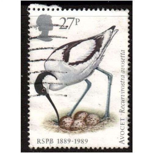 Great Britain 1989 Centenary RSPB 27p Avocet Used SG 1420 postage stamp birds