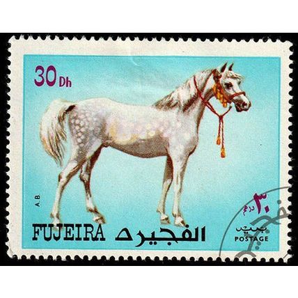 Fujeira 1972 Animal Horse 30D Used Stamp