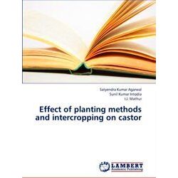 Effect of Planting Methods and Intercropping on Castor - Kumar Agarwal Satyendra
