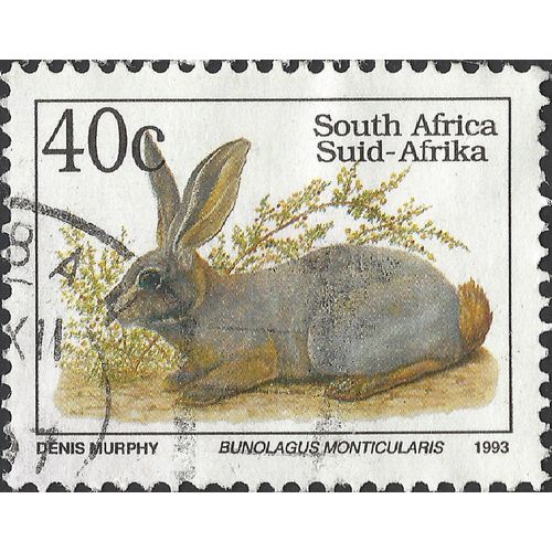 SOUTH AFRICA, MAMMAL, Bushmann Hare, white 1993, 40c, #3