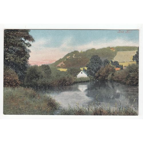 Box Hill Dorking Surrey Postcard V21