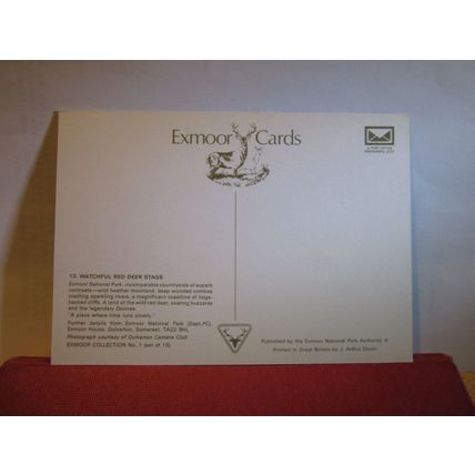 RED DEER STAGS Somerset unused postcard. Exmoor National Park =