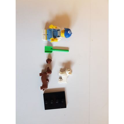 LEGO Minifigure Series 19 - Dog Sitter