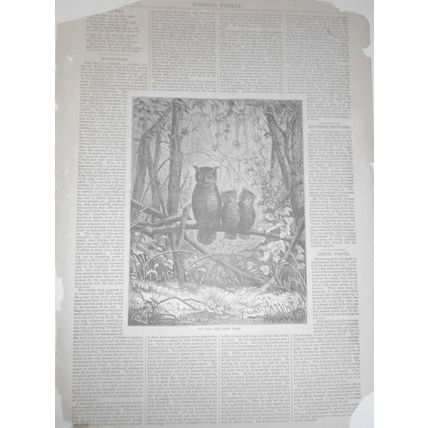 Southern Sketches - a Poor White .. Harper's Weekly July 31, 1875