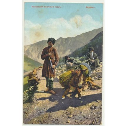 RUSSIAN GRANBERGS BREKFORT PC Caucasian pack donkey. Caucasus.