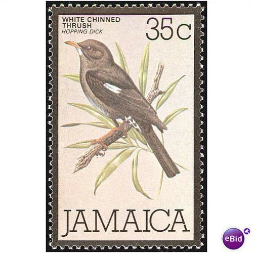 Jamaica 1980 35c White Chinned Thrush Unmounted Mint SG 471 Sc 475